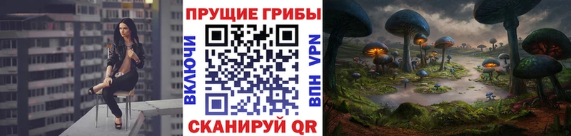 Псилоцибиновые грибы Psilocybine cubensis  Купить где  Грязовец 